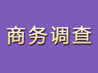 黄石港商务调查